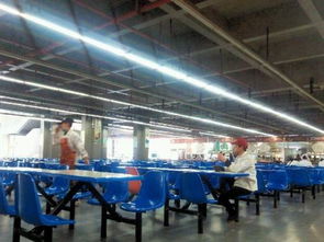 学校食堂窗口技术转让 优势、流程与注意事项